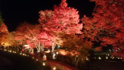 ドキッ！丸ごと富士山 河口湖、山中湖、忍野八海を周遊！ (後編)