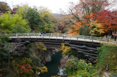 2017.11 甲斐の猿橋と恵林寺の紅葉