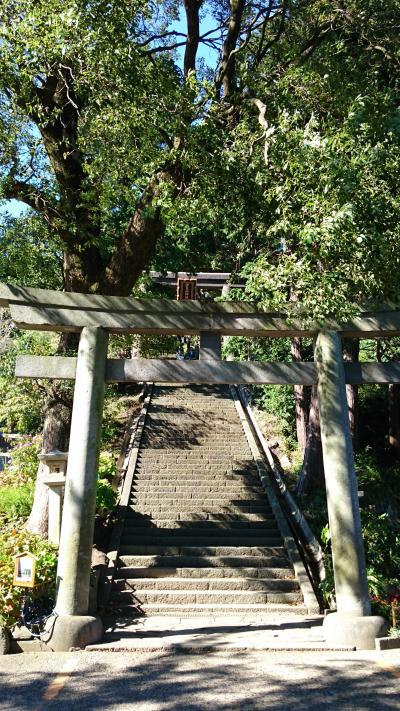 縁結びの神様 伊豆山神社に行ってみました。