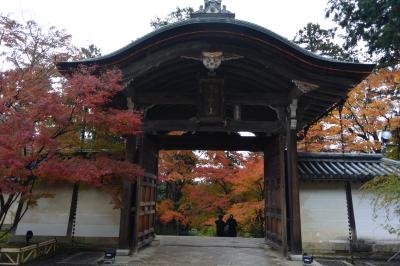 ２０１７年１１月　秋雨で紅葉滴る嵯峨野・嵐山へひとリップ♪「二尊院」～「常寂光寺」～「宝厳院」ライトアップ～京都駅イルミネーション～