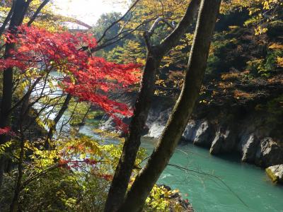 高津戸峡の黄葉_2017_ここは赤よりも黄色が多く黄葉が見頃です。（群馬県・みどり市）