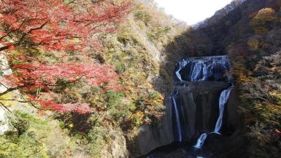 袋田の滝～竜神大吊橋、、、猿廻し！