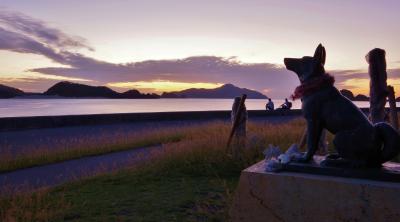 座間味再訪一人旅:ダイビング修行とおまけの写真練習旅