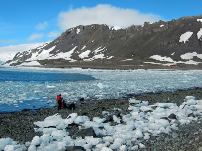 Amtarctic Dream号&lt;空キャビン利用&gt;で南極へ　　午後からはヤンキ－ベイ上陸　　　No3