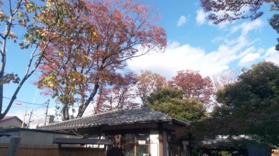 ぶらり兄さんぽ ~向島百花園編~