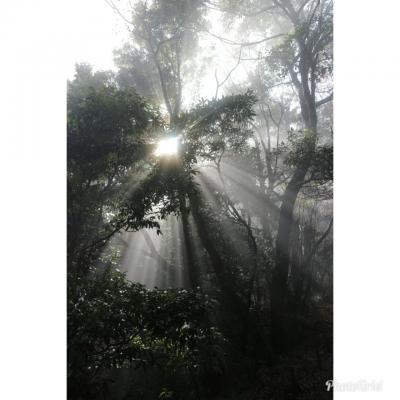 【東京 高尾山】芸術女子は山を登る。