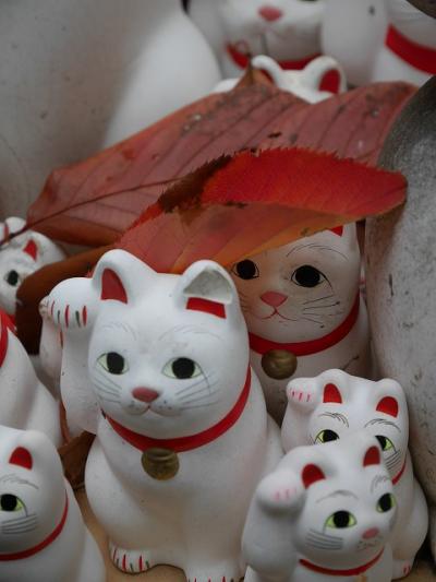 【東京】　招き猫の寺　豪徳寺へ行ってみた