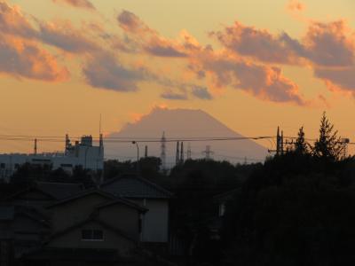 ふじみ野市で久しぶりに見られた影富士