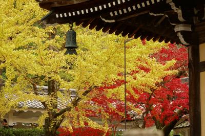 京都 紅葉 日帰りの旅 2017 常寂光寺・祇王寺・南禅寺・永観堂