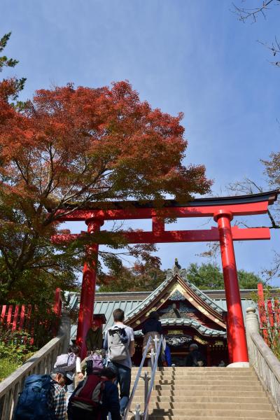 ぶらっと高尾山　～そろそろ紅葉してるかな、なんて期待しながらの、メインはうかい竹亭です。～