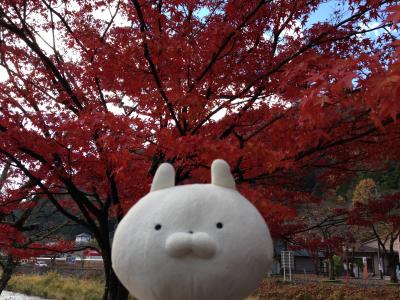 モリゾー家の山梨紅葉狩り旅行