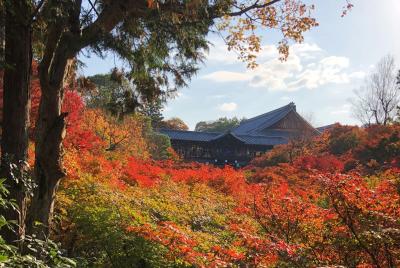 秋満喫☆紅葉まっさかりの東福寺・雲龍院