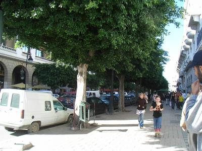 チュニジア最高!(11) ~チュニスPart2