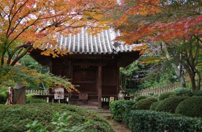 白峯寺と根香寺（ねごろじ）の紅葉