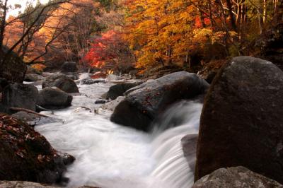 ◆晩秋の燃ゆる山鶏滝渓谷 Part②