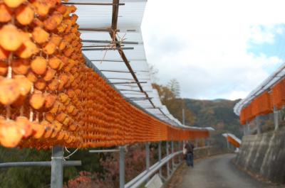 干し柿の里