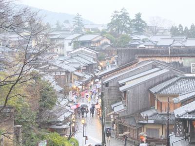 母と初春の京都観光ツアー