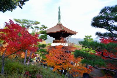 京都　ひたすら寺院を巡り紅葉をめでる一人旅（その３）