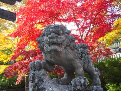 古峯園の紅葉を見に出かけ、古峯神社の御朱印も頂いてきました