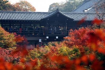 ムラゴンの旅日記　秋の京都・東福寺