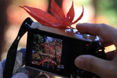 ２０１７【今高野山 龍華寺】で紅葉狩り＆町並み散策　～広島・世羅町～