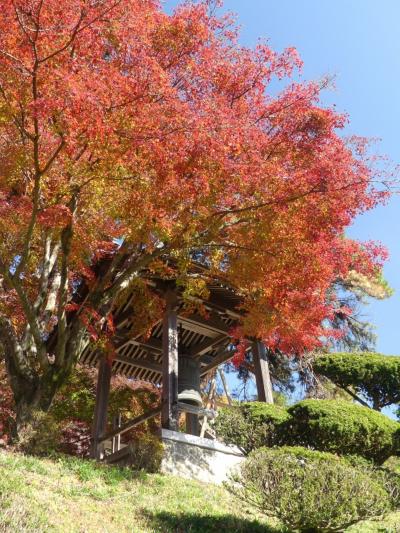 金蔵院の紅葉_2017_見頃は過ぎていました。来年が楽しみです。（栃木県・佐野市）