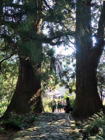 那智勝浦-1 大門坂/登り前半a 世界遺産・熊野古道(中辺路