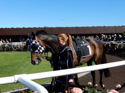 ２０１７年　オーストラリア・メルボルンで競馬漬けの旅⑤ フレミントン競馬場 ヴィクトリアダービー 中篇