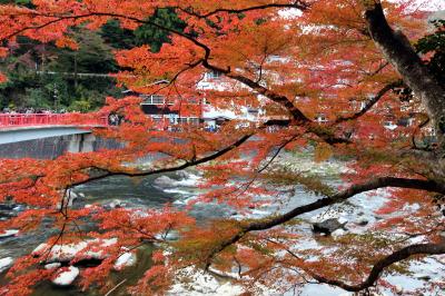 香嵐渓と大井川鉄道の紅葉＜１＞　香嵐渓とつま恋リゾートのイルミネーション