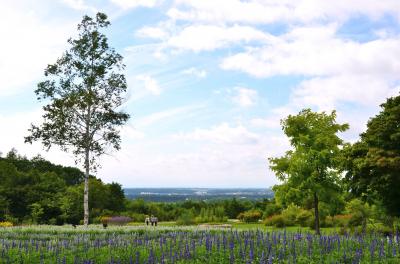 ［十勝をぐるり］花と自然と畑の恵みを楽しむ旅（２）～贅沢野菜のランチと、丘の上の花園《十勝ヒルズ》