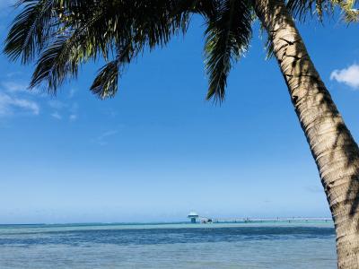 2017.11月 4泊5日 やっぱり大好き♪グアム