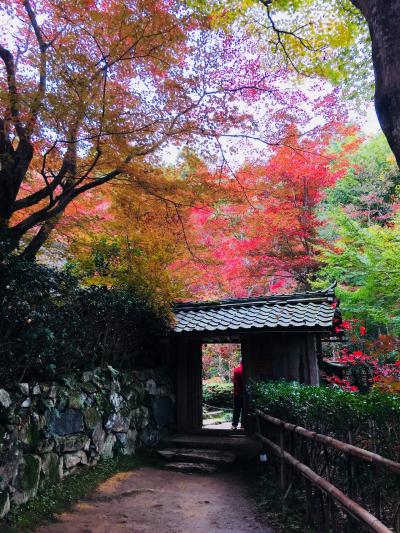 紅葉の教林坊とラコリーナ近江八幡