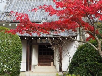 紅葉の京都☆嵐山・京都市内編