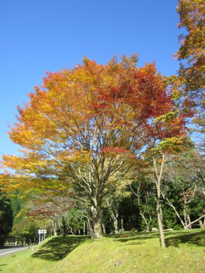 琵琶湖周遊の旅