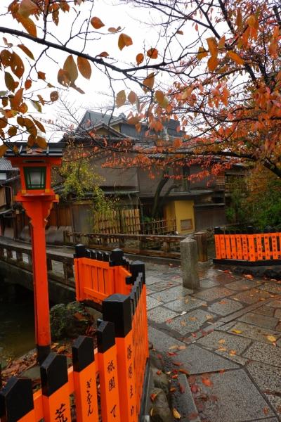 京都　ひたすら寺院を巡り紅葉をめでる一人旅（その６）