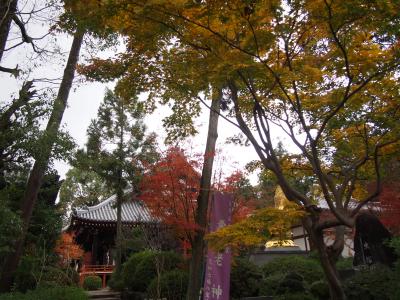 奈良・橿原、弘法大師の久米寺とパスタのラッソ