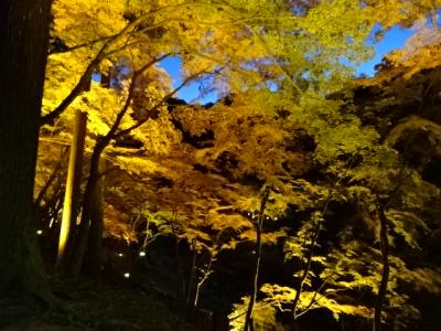 香嵐渓の紅葉とライトアップへ