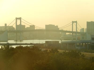 東京ビッグサイトより豊洲間でユリカモメから見られる風景