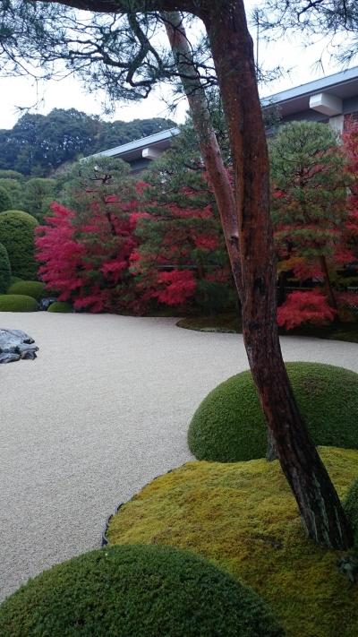 皆生温泉&山陰で仕事旅