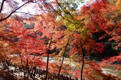 紅葉の香嵐渓・モネの池・なばなの里イルミネーション　名古屋駅から日帰りバスツアーにて