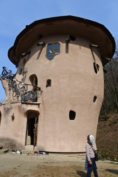 あけぼの子どもの森公園