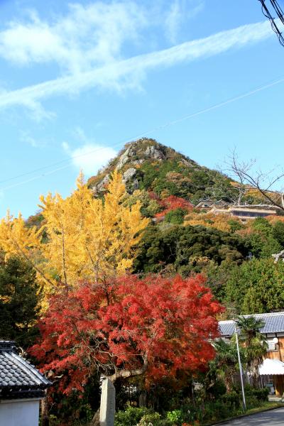 太郎坊宮の紅葉