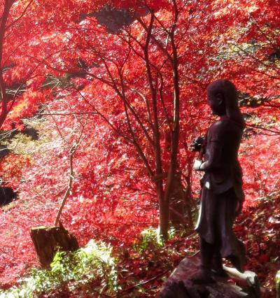 団塊夫婦の日本紅葉巡りの旅(2017関東ハイライト）ー神奈川県の紅葉名所・大山