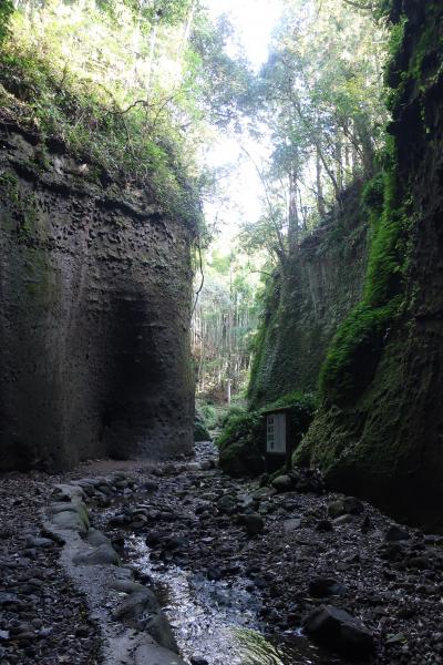 人気沸騰中　伊尾木洞と古い映画館　高知東部