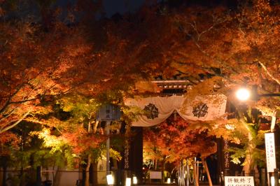 ２０１７年１１月　紅葉を愛でる京都女子旅♪Ｖｏｌ.４　～「南禅寺」～「永観堂」ライトアップ☆～