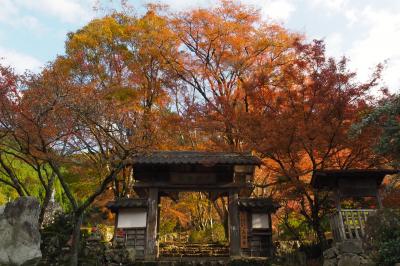 丹波もみじめぐりバスで関西花の寺満願へ&#12316;高源寺・高山寺編&#12316;