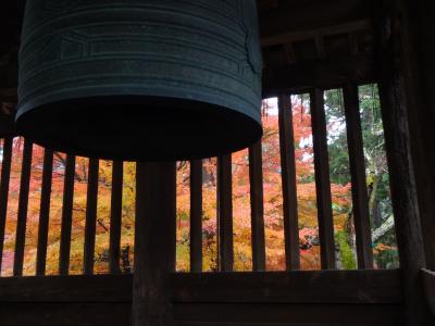 三井寺内部初公開三重塔のお釈迦様は美しかった園城寺(西国33-14)、比叡山延暦寺会館宿坊に泊まる(2/3)