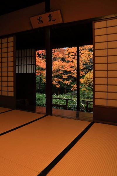 福井・石川　紅葉めぐり～永平寺、養浩館庭園、兼六園、寺島蔵人邸、尾山神社