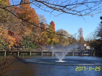 井の頭恩賜公園