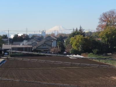 11/25ふじみ野市より見られた素晴らしかった富士山